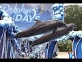 Dolphin Days (Full Show) - SeaWorld Orlando - May 19, 2017