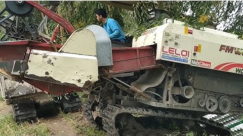 máy cắt lúa WC 102 cặp bến Lên phà vào ruộng tập1087#maibangtv