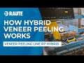 How hybrid veneer peeling works  veneer peeling line r7hybrid