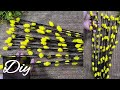 DIY Broom sticks &amp; Pipe Cleaner | very Easy to make Flowers with Broom sticks &amp; Pipe Cleaner