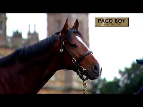 Paco boy 2011.wmv