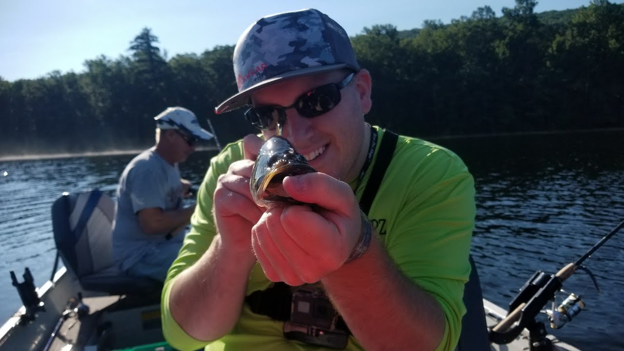 RESERVOIR bass fishing YouTube