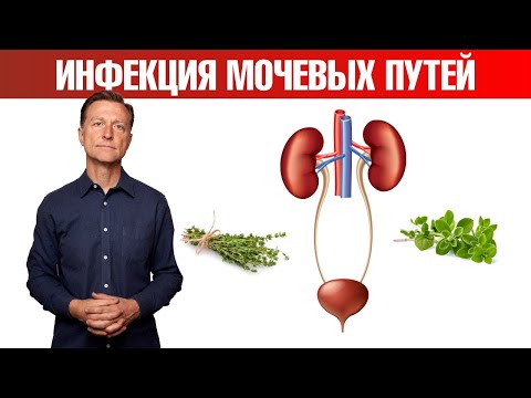 Видео: Как сделать репеллент кошек для мебели