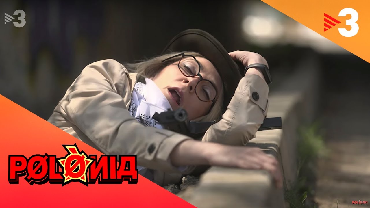 Assalt al tren de Rodalies - Polònia