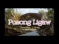 PUSONG LIGAW - JONA (LYRICS)