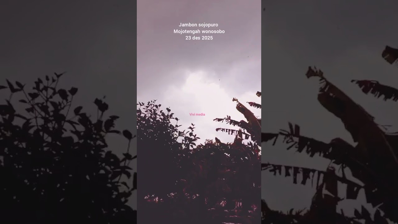 Angin puting bliung jambon sojopuro mojotengah eonosobo 23 des 2025