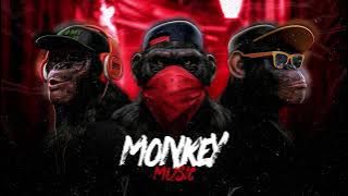 Arrocha - Reagiu Vapo - DJ Guuga