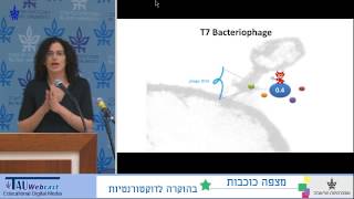 The Discovery of a Bacteria-Killing Protein