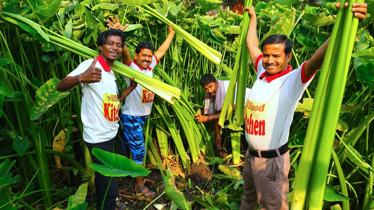 Bengali famous Kochu shak recipe | বাগানের তাজা কচু শাক কেটে রান্না | Kochu shak & egg curry recipe