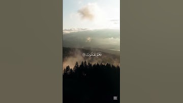 #القرآن_الكريم # القارئ إسلام صبحي