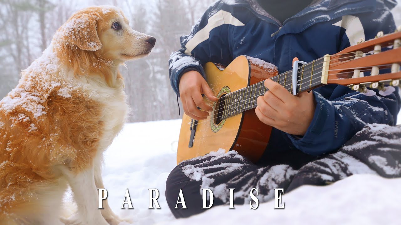 Paradise   Coldplay Fingerstyle Guitar