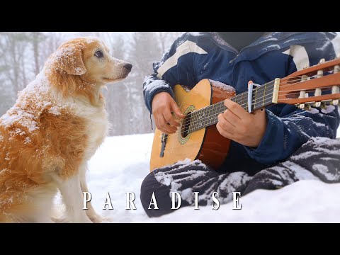 Paradise  Coldplay Fingerstyle Guitar