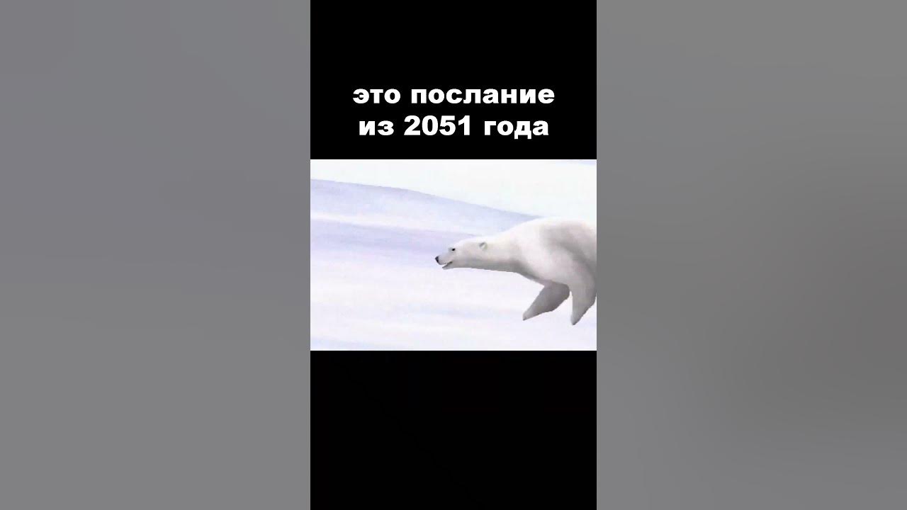 Мем с медведем из 2026 года ФелиБлокс Медведь из 2026 поёт (Official Audio) YouTube