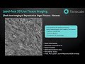 Reproductive Tissues - Label free 3D Live Tissue Imaging