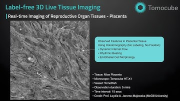 Reproductive Tissues - Label free 3D Live Tissue Imaging