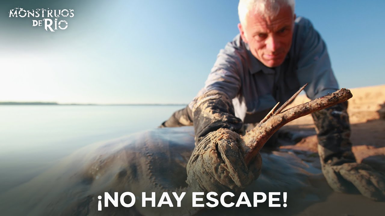 Los Momentos de Pesca MÁS LOCOS | T3 | Monstruos de río