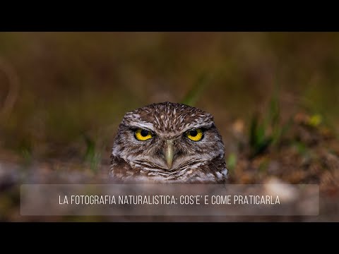 Video: Che cos'è uno stile naturalistico?