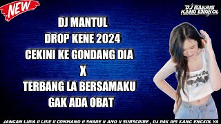 DJ PAK RIS DROP KENE 2024 CEKINI KE GONDANG DIA X TERBANG LA BERSAMAKU GAK ADA OBAT@QUEENVINAA