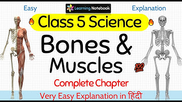 Bones and Muscles (Complete Chapter)