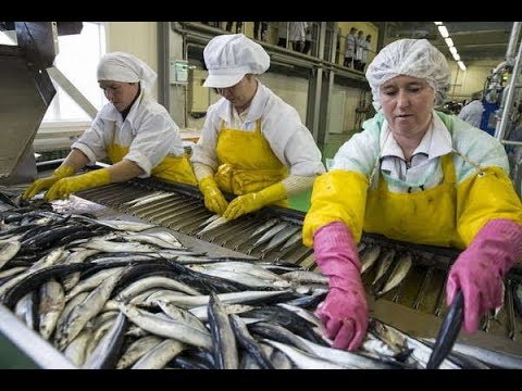 Работа в Польше на рыбозаводе Вакансии в Польше