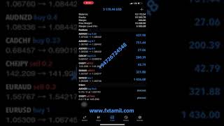 Forex Scalping Trading Live Account Performance
