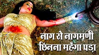 Movie Uncut Scene - नाग से नागमणि छीनना महँगा पड़ा - Nagin Ka Insaf - Rani Chaterji - Yash Mishra