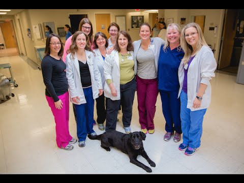 Meet Your Munson Medical Center Inpatient Rehabilitation Team
