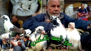 سوق الجمعه بالاسكندريه اسعار الحمام والعصافير اليوم4/3/2022#حمام_الغية