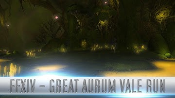 FFXIV Highlight: Great Aurum Vale Run
