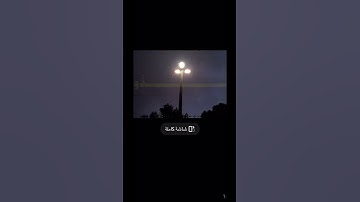 محمد اللحيدان ان شجرت الزقوم طعام الأثيم سورة الدخان
