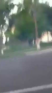Бабур Усманов перед смертью - YouTube