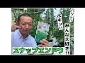 超美味い!超売れる!!ニムラって??