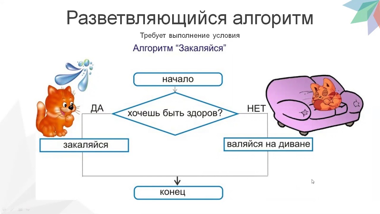 Урок игра алгоритмы. Алгоритмы с ветвлением 6 класс Информатика. Алгоритм ветвления примеры Информатика. Информатика 3 класс разветвляющийся алгоритм. Алгоритм с ветвлением 5 класс Информатика.