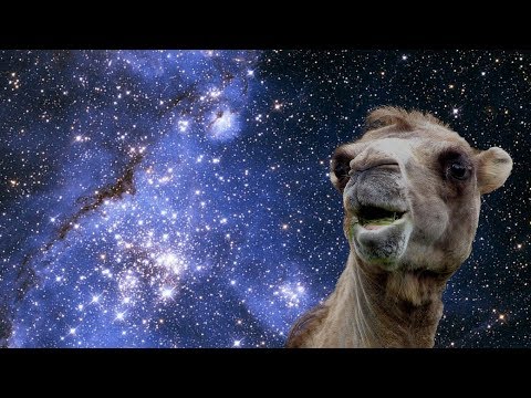 Грандиозная шутка. Рамеш
