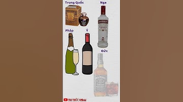 Cuộc thi đấu rượu của các nước * Triết lý sống - Tập 154 | TRI THỨC Official #shorts