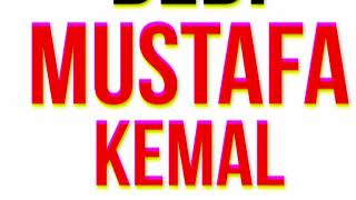 Atatürk Montaj screenshot 5