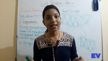 Life process in Living Organism 2 | Part 2 |Asexual reproduction in Multicellular organism |