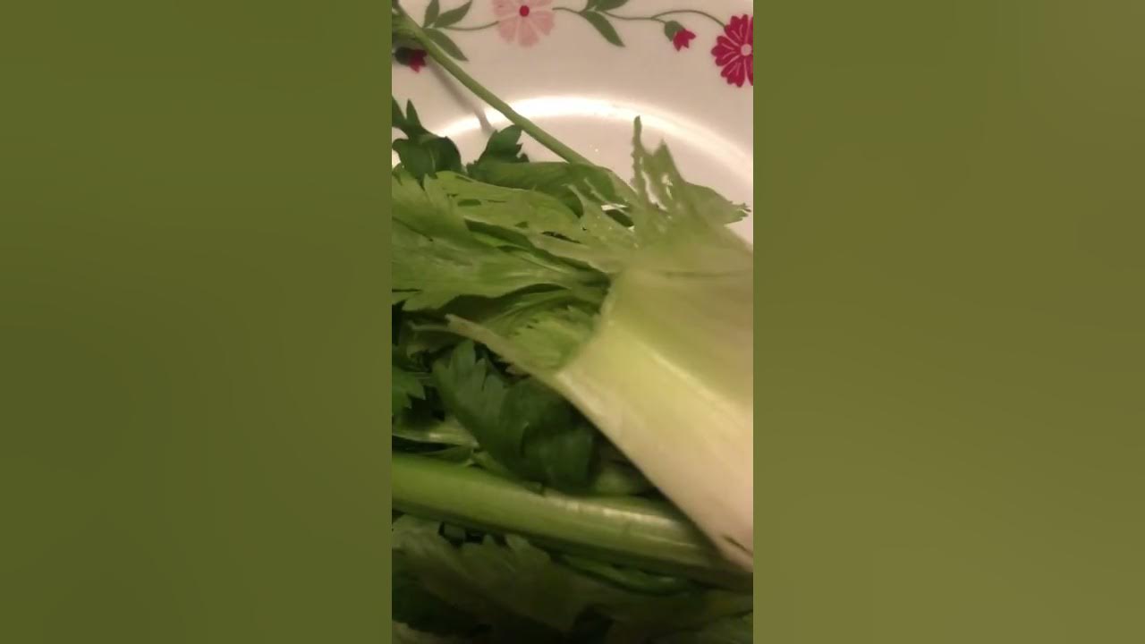 Celery ASMR 👂Sound eating before sleep 🛌🥱for you enjoyment and my