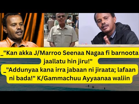 Kan Akka Jaal Marroo Seenaa Barnootaa Fi Nagaa Jaallatu Hin Jiru K Gammachuu Ayyaanaa