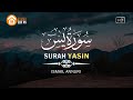 Surah yasin   by ismail annuri murottal al quran merdu  inner peace  calm heart recitation