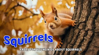 Squirrels  Fun Facts for Little Explorers