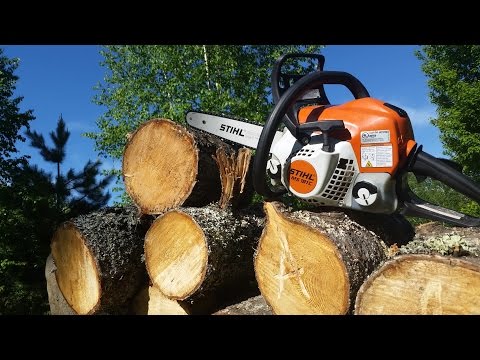 Stihl MS 181 - Best Starting Chainsaw for the Modern Homesteader