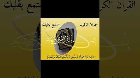 استمع بقلبك تلاوه خاشعه سورة العصر بصوت القارئ محمد الفقيه #القرآن_الكريم #تلاوة_خاشعة #خاشعة