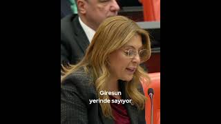 Gi̇resun Sahi̇l Yolu Alarm Veri̇yor