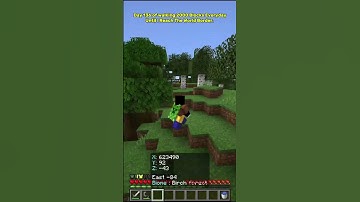 Day 136 of walking 2000 Blocks Every day until I reach the World Border. #minecraft #fypminecraft