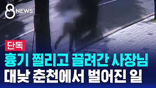 [단독] 흉기 찔리고 끌려간 사장님…대낮 춘천에서 벌어진 일 / SBS 8뉴스