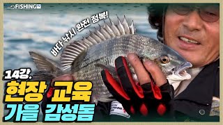 바다낚시 완전정복ㅣ가을 감성돔 현장 교육 [피싱TV : 중급 #14]_Korean sea fishing