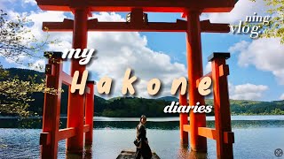 Japan VLG | How to travel to Hakone in a Day | 1 Day itinerary🇯🇵🌍