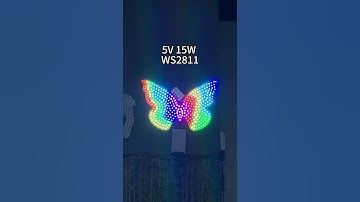 The butterfly,all led pixel light RGB ws2811