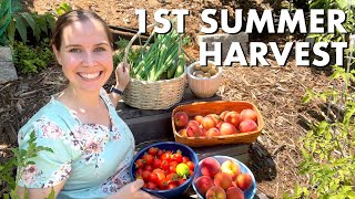 2023 Summer Garden Harvest | Small Backyard Garden